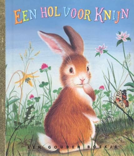 Imagen de archivo de Een Hol voor Knijn (Gouden Boekjes) a la venta por medimops