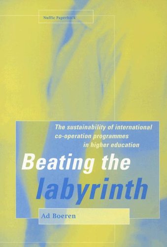 Imagen de archivo de Beating the Labyrinth The Sustainability of International Cooperation Programmes in Higher Education 2 Nuffic paperback a la venta por PBShop.store US