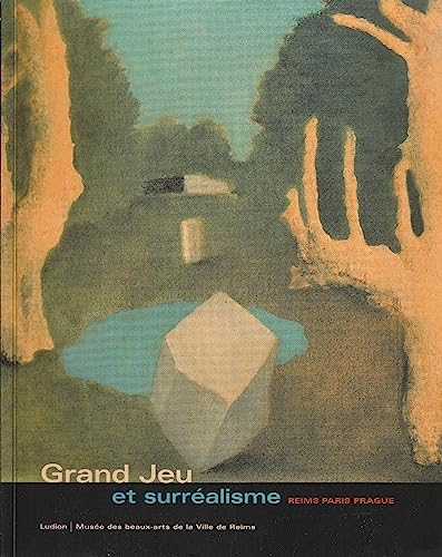 grand jeu et surrÃ©alisme (9789055444892) by Didier Ottinger