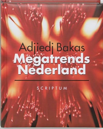 Beispielbild fr Megatrends Nederland zum Verkauf von Buchpark