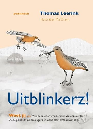 Stock image for Uitblinkerz! (Dutch Edition) for sale by Wolk Media & Entertainment
