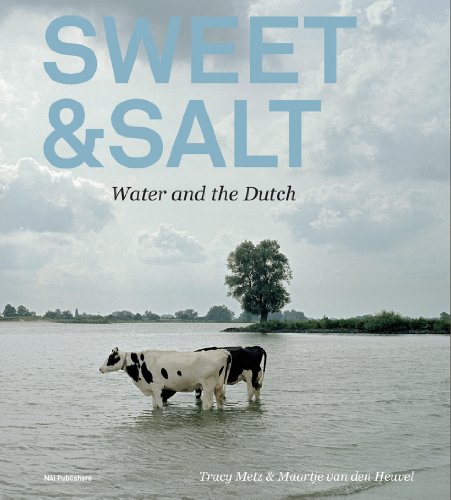 Imagen de archivo de Sweet & Salt: Water and the Dutch a la venta por ThriftBooks-Dallas