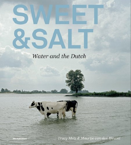 Stock image for Sweet and Salt : Water and the Dutch for sale by Better World Books Ltd