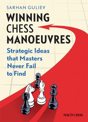 Stock image for Winning Chess Manoeuvres : Strategic Ideas That Masters Never Fail to Find for sale by Better World Books