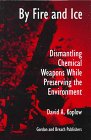 Stock image for By Fire and Ice: Dismantling Chemical Weapons while Preserving the Environment (Science & Global Security Monograph Series, V. 3) for sale by HPB-Red