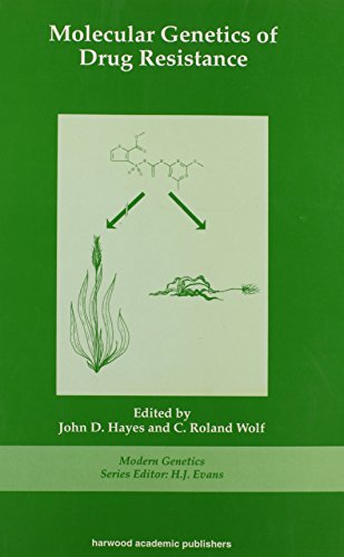 Molecular Genetics of Drug Resistance (9789057021688) by Hayes, John D.; Wolf, C. Roland