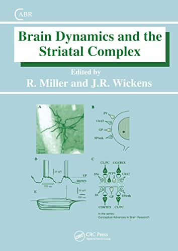 Imagen de archivo de Brain Dynamics and the Striatal Complex (Conceptual Advances in Brain Research) a la venta por Revaluation Books