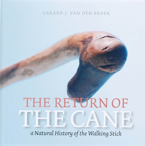 Stock image for The Return of the Cane a Natural Hsitory of the Walking Stick for sale by Chequamegon Books