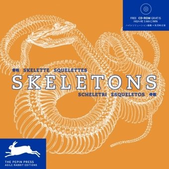 Beispielbild fr Skeletons (Pepin Picture Collections) zum Verkauf von WorldofBooks