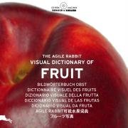 The agile rabbit visual dictionary of fruit (Ediz. multilingue. Con cd-rom)