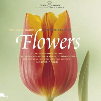 Beispielbild fr Fotoatlas Blumen zum Verkauf von medimops