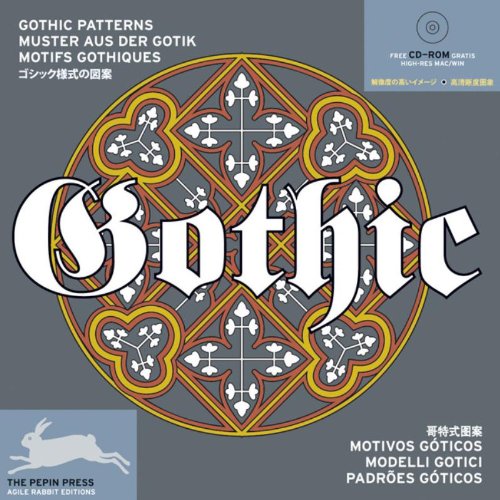 Imagen de archivo de Gothic Patterns (Agile Rabbit Editions) (Pepin Patterns, Designs and Graphic Themes) a la venta por Henffordd Books
