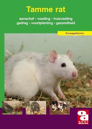 Stock image for De tamme rat : voeding, verzorging, aanschaf, huisvesting, voortplanting, gezondheid en nog veel meer for sale by Buchpark
