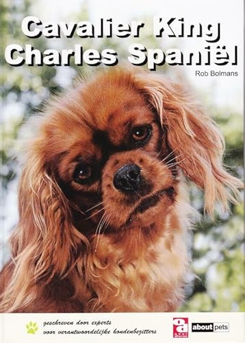 Stock image for Cavalier King Charles spanil for sale by Buchpark