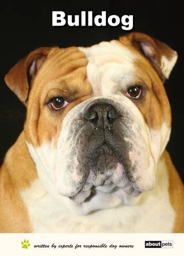 Stock image for BULLDOG for sale by Revaluation Books