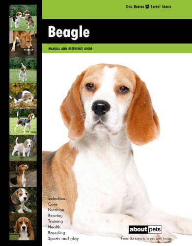 Stock image for Beagle (Dog Breed Expert Series) for sale by AwesomeBooks