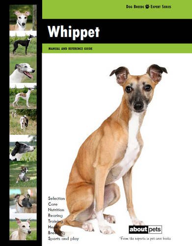 9789058218414: Whippet (Dog Breed Expert Series)