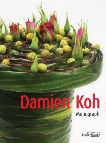 9789058563255: Damien Koh: monograph