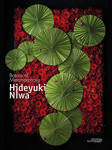 Beispielbild fr Hideyuki Niwa: Botanical Metamorphosis zum Verkauf von AwesomeBooks