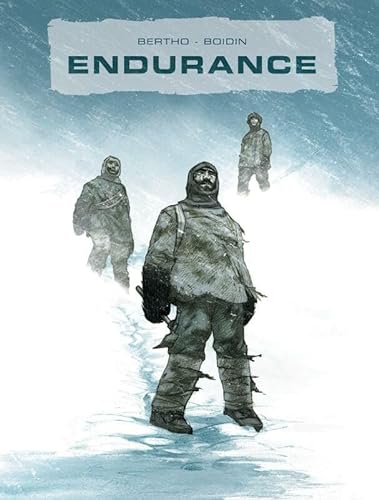 Stock image for Endurance AA for sale by Wolk Media & Entertainment