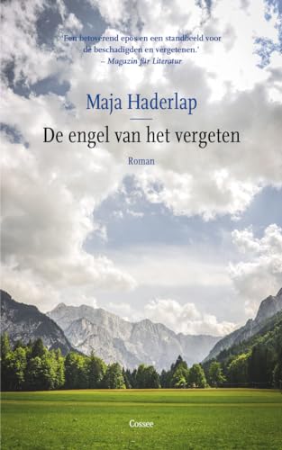 Beispielbild fr De engel van het vergeten: roman zum Verkauf von Buchpark