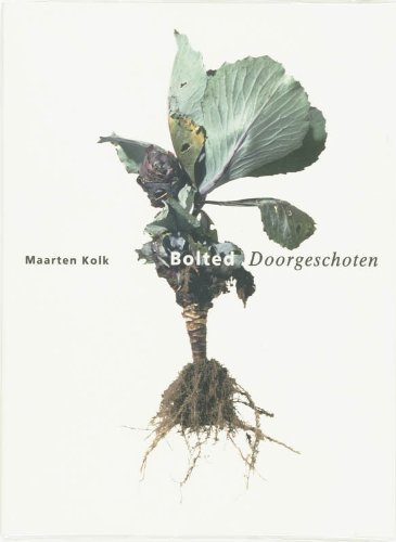 Stock image for Maarten Kolk: Bolted for sale by Better World Books