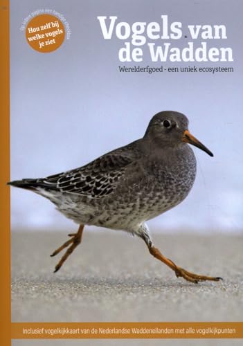 Beispielbild fr Vogels van de Wadden: Werelderfgoed - een uniek ecosysteem zum Verkauf von Buchpark
