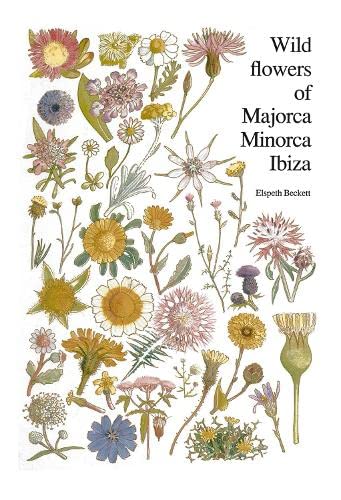 Imagen de archivo de Wild flowers of Majorca Minorca and Ibiza: With Keys to the Flora of the Balearic Islands a la venta por Chiron Media