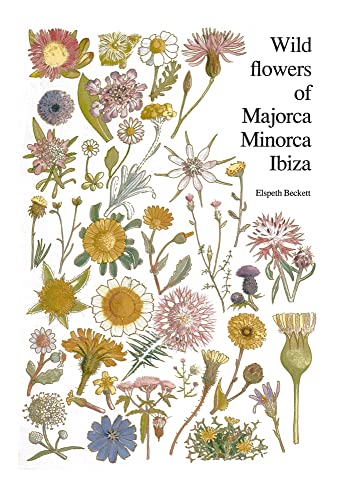 9789061916345: Wild flowers of Majorca Minorca and Ibiza: With keys to the flora of the Balearic Islands