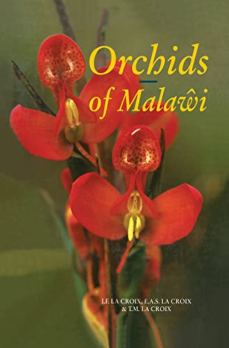 Imagen de archivo de Orchids of Malawi : The Epiphytic and Terrestrial Orchids from South and East Central Africa a la venta por GreatBookPrices