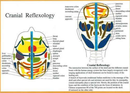 9789070281564: Cranial Reflexology