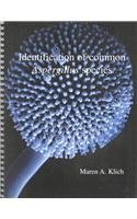 9789070351465: Identification of Common Aspergillus Species