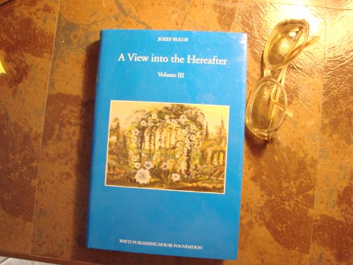 Stock image for A View Into the Hereafter, Volume III for sale by HPB-Red