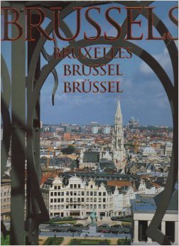 Imagen de archivo de A Portrait of Brussels a la venta por medimops