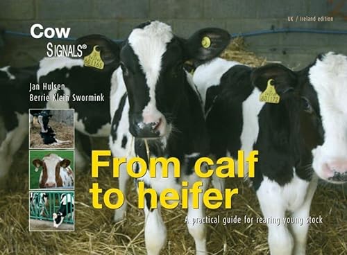 Beispielbild fr From calf to heifer: a practical guide for rearing young stock (Cowsignals) zum Verkauf von WorldofBooks