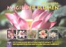Stock image for Magie der Blumen for sale by medimops