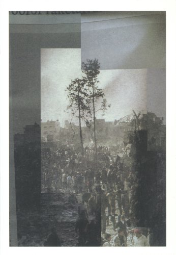 Rob Johannesma: In Dark Trees (9789077459409) by Lorenzo Benedetti