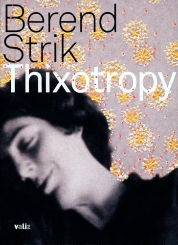 Stock image for Berend Strik: Thixotropy for sale by Better World Books