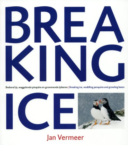 Beispielbild fr Breaking Ice zum Verkauf von Seagull Books