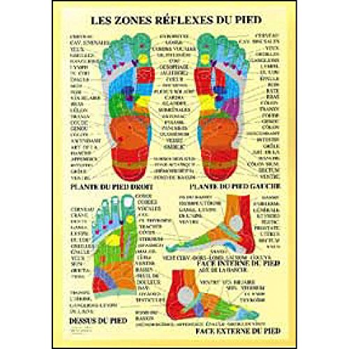 9789079887132: Zones rflexes des pieds