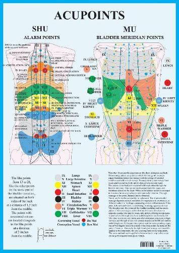 Beispielbild fr Acupoints -- A2 zum Verkauf von PBShop.store US