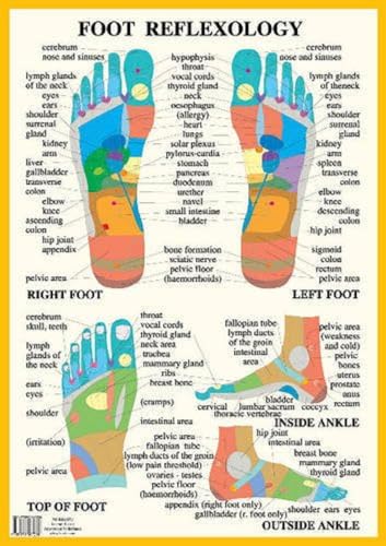 Beispielbild fr Foot Reflexology zum Verkauf von Monster Bookshop