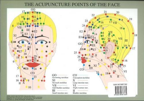 Beispielbild fr Acupuncture Points of the Face -- A4 zum Verkauf von PBShop.store US