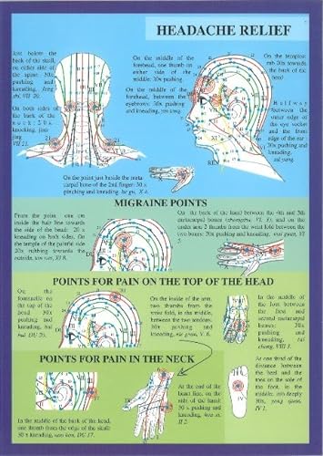 Beispielbild fr Acupuncture for the Head -- A4 zum Verkauf von PBShop.store US