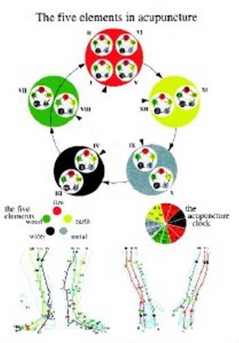 Beispielbild fr Five Elements in Acupuncture - A4 zum Verkauf von Monster Bookshop