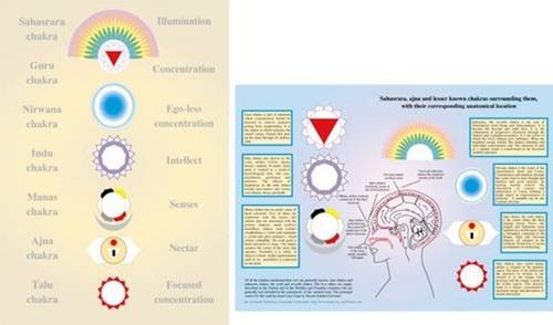 Beispielbild fr Lesser-Known Chakras -- A4 zum Verkauf von PBShop.store US