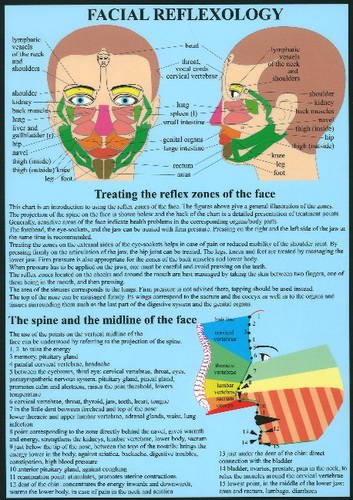 9789079887699: Facial Reflexology