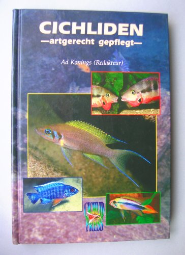 Stock image for Cichliden - artgerecht gepflegt - [Hardcover] Ad Konings for sale by BUCHSERVICE / ANTIQUARIAT Lars Lutzer