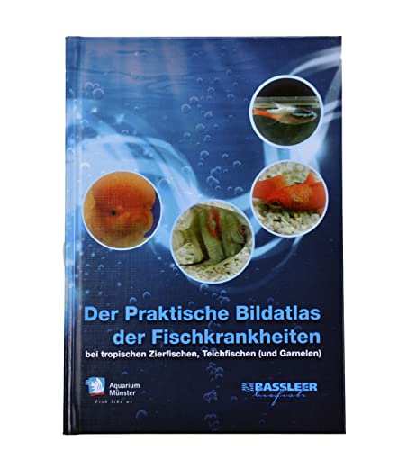 Imagen de archivo de Aquarium Mnster Der Praktische Bildatlas der Fischkrankheiten a la venta por medimops
