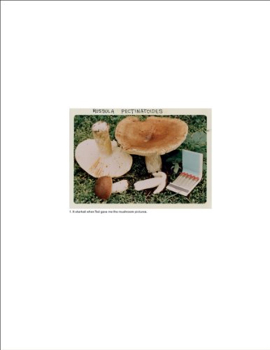 9789081058421: Jason Fulford: The Mushroom Collector